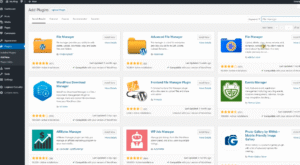 File Manager Plugin For WordPress