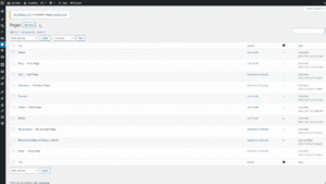Homepage & Layout Variations
