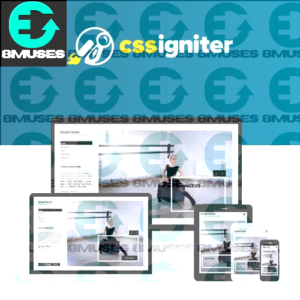 CSS Igniter Eclecticon WordPress Theme