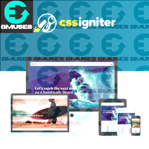 CSS Igniter Flevr Woocommerce Theme