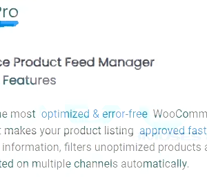 Ctx Feed Pro – woocommerce product feed manager