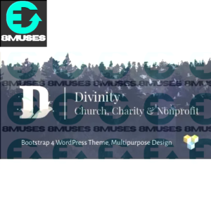 Divinity – Church& Nonprofit wordpress theme